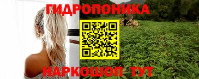 2c-b Ливны