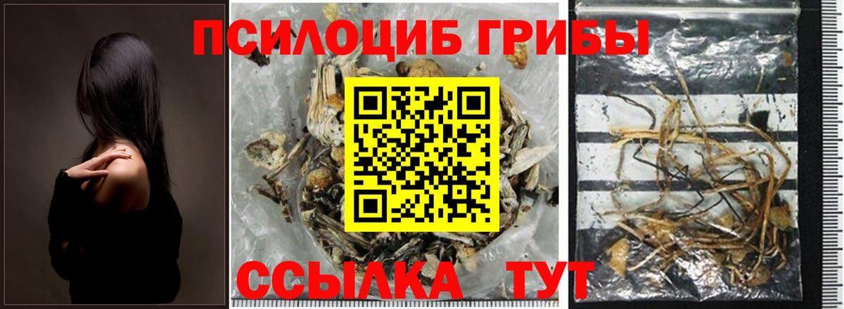 Псилоцибиновые грибы Magic Shrooms  Псилоцибиновые грибы мицелий  Геленджик  Вход с VPN 